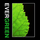 Evergreen Building Systems Zeichen