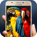 Birds Wallpapers HD 4K Wallpapers & Backgrounds HD