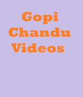 Gopi Chandu Videos اسکرین شاٹ 1