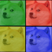 Doge says