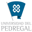 Proyecto UdelP