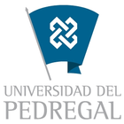 Proyecto UdelP icon