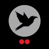 TwoDots Raven icon
