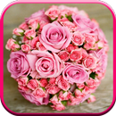 Wedding Wishes APK