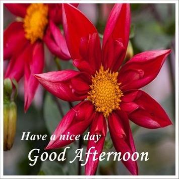 Good Afternoon Images For Android APK Download Custom Gud Afternoon Image Download Good Afternoon Images For Android APK Download Custom Gud Afternoon Image Download
