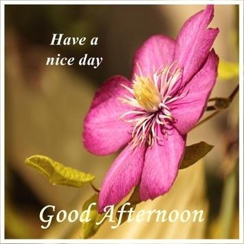 Good Afternoon Images For Android APK Download Impressive Gud Afternoon Image Download Good Afternoon Images For Android APK Download Impressive Gud Afternoon Image Download