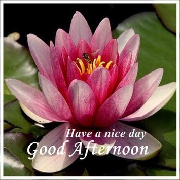 Good Afternoon Images For Android APK Download Best Gud Afternoon Image Download Good Afternoon Images For Android APK Download Best Gud Afternoon Image Download
