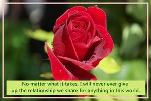 Quotes About Love plakat