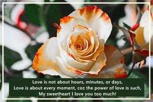 3 Schermata Quotes About Love