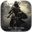 Guide Elder Scrolls Online