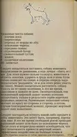 Уязвимые места тела человека. screenshot 4