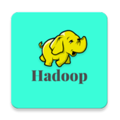 Hadoop for Professionals icon