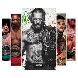 UFC Wallpapers HD