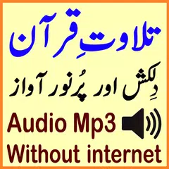 Without Internet Audio Quran アプリダウンロード