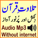 Without Internet Audio Quran icône