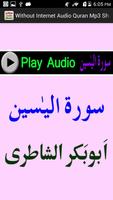 Without Internet Audio Quran اسکرین شاٹ 3