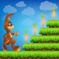 Forest Bunny Run