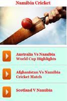 Namibia Cricket poster