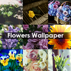 Flowers Wallpaper 4k icon