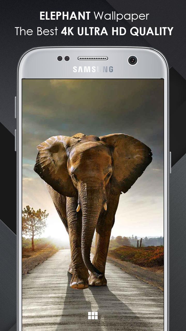Elephant Wallpaper APK pour Android Télécharger Elephant Wallpaper APK pour Android Télécharger