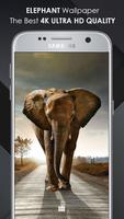 Elephant Wallpaper Affiche