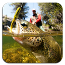 Fishing Wallpaper 4K Ultra HD Quality APK