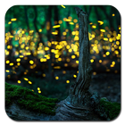 Fireflies Wallpaper Ultra HD Quality icône