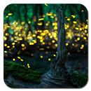 Fireflies Wallpaper Ultra HD Quality APK