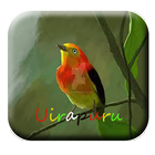 Canto de Uirapuru mp3 Offline ikona