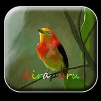 Canto de Uirapuru mp3 Offline Affiche