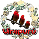 Canto do Uirapuru Verdadeiro APK