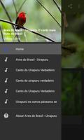 Aves do Brasil - Uirapuru ảnh chụp màn hình 1