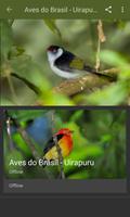 Aves do Brasil - Uirapuru ảnh chụp màn hình 2