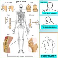 Injury Massage Therapy скриншот 2