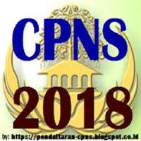 Ujian Simulasi CPNS 2018 Soal Terbaru & Terupdate скриншот 1