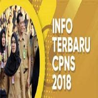 Ujian Simulasi CPNS 2018 Soal Terbaru & Terupdate скриншот 3