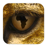 CHEETAH by Ujuizi Labs