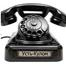 Справочник с.Усть-Кулом(2018) APK