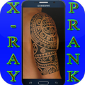 XRay Simulator