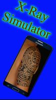2 Schermata XRay Simulator