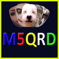 Funny Msqrd me