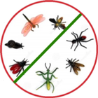 Anti insect Simulator Zeichen
