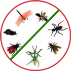 Anti insect Simulator icon