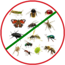 Anti Insect Repeller Simulator APK