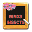 Birds & Insects for UKG Kids - Giggles & Jiggles