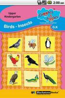 Birds & Insects for UKG Kids Poster