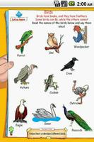 Birds & Insects for UKG Kids - Giggles & Jiggles اسکرین شاٹ 1