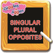 UKG- Singular Plural Opposites