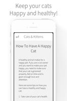 Cats & Kittens - Cat Care скриншот 2