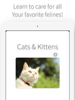 Cats & Kittens - Cat Care imagem de tela 3